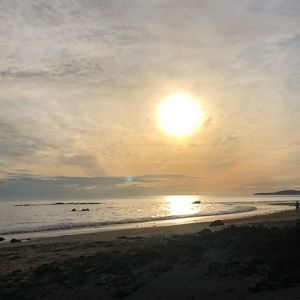 Meet your Posher, Luna